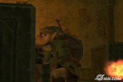 zelda26.jpg