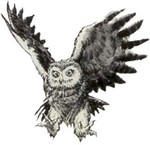 Filename=g-owl5.jpg
Filesize=12KB
Dimensions=300x290
Date added=Feb 25, 2006 g-owl5.jpg