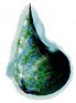Filename=moonstear.jpg
Filesize=5KB
Dimensions=69x93
Date added=Mar 14, 2004 moonstear.jpg