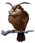 Filename=owl.gif
Filesize=15KB
Dimensions=198x244
Date added=Mar 14, 2004 owl.gif