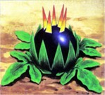bombflower.jpg