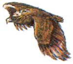 moby.gif