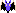 AchePurple.gif