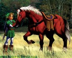 grassland_1280x1024.jpg