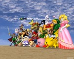 SSBM-BG213.jpg