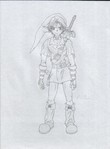 Adult Link.JPG