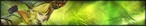 linkbanner.jpg
