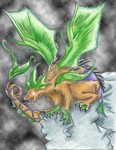 dragon resized.JPG