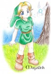 link_chiquito.jpg