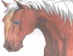 Filename=Epona.jpg
Filesize=509KB
Dimensions=2048x1601
Date added=May 11, 2007 Epona.jpg